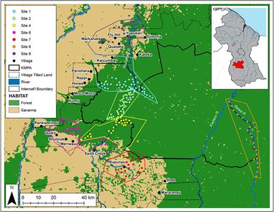 Impact of Low-Intensity Hunting on Game Species in and Around the Kanuku Mountains Protected Area, Guyana